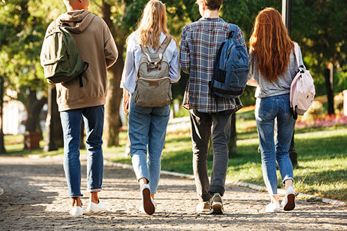 Group of four students from behind carry bookbags walking on path with trees and landscaping ahead of them.